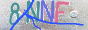 キャプチャ画像