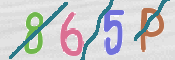 キャプチャ画像