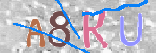 キャプチャ画像