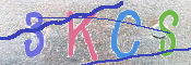 キャプチャ画像