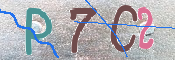 キャプチャ画像