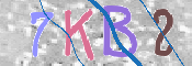 キャプチャ画像