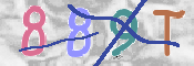 キャプチャ画像
