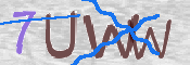 キャプチャ画像