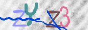 キャプチャ画像