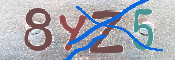 キャプチャ画像