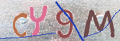 キャプチャ画像