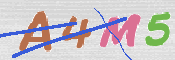 キャプチャ画像