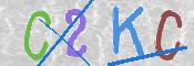 キャプチャ画像