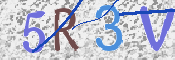 キャプチャ画像