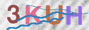 キャプチャ画像