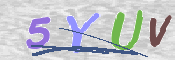 キャプチャ画像