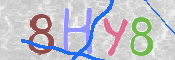 キャプチャ画像