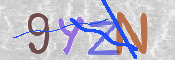 キャプチャ画像