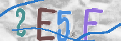 キャプチャ画像