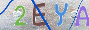 キャプチャ画像
